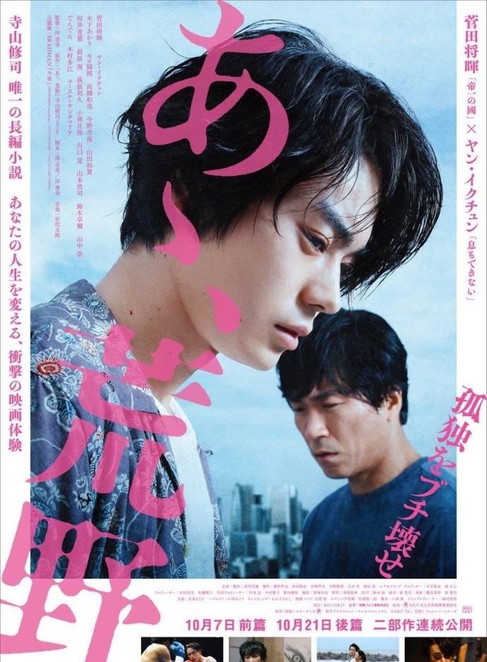 《啊，荒野 前篇》BD高清日語中字