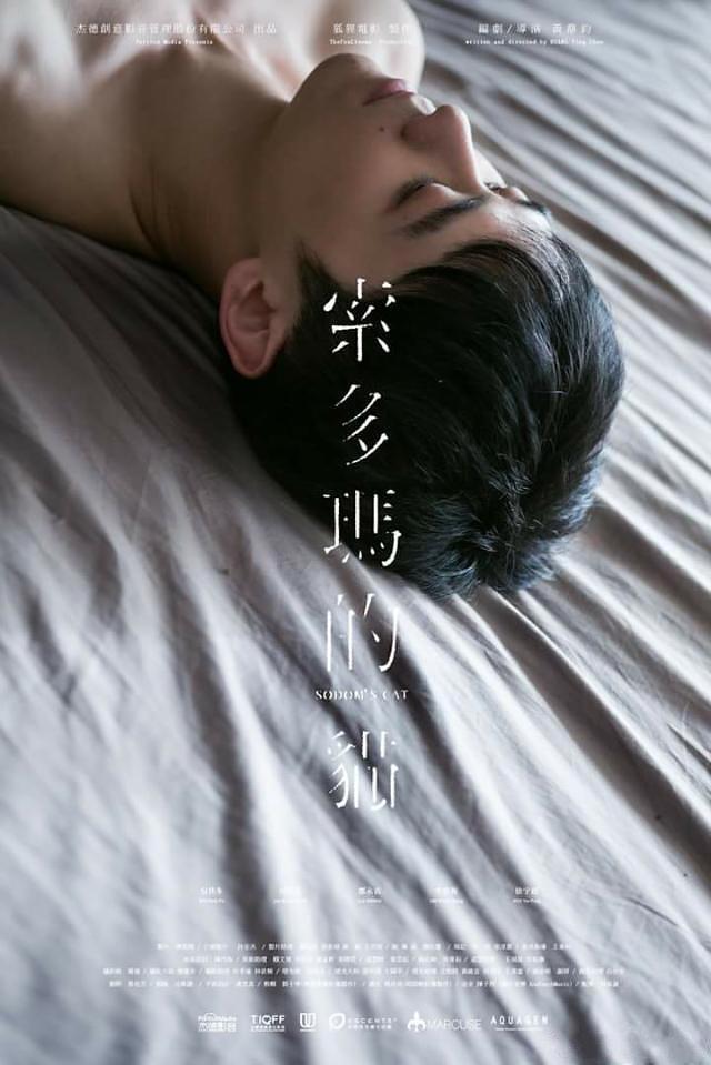 《索多玛的猫》HD高清国语中字(2016)