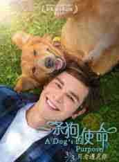 《一條狗的使命》BD高清國英雙音軌中字