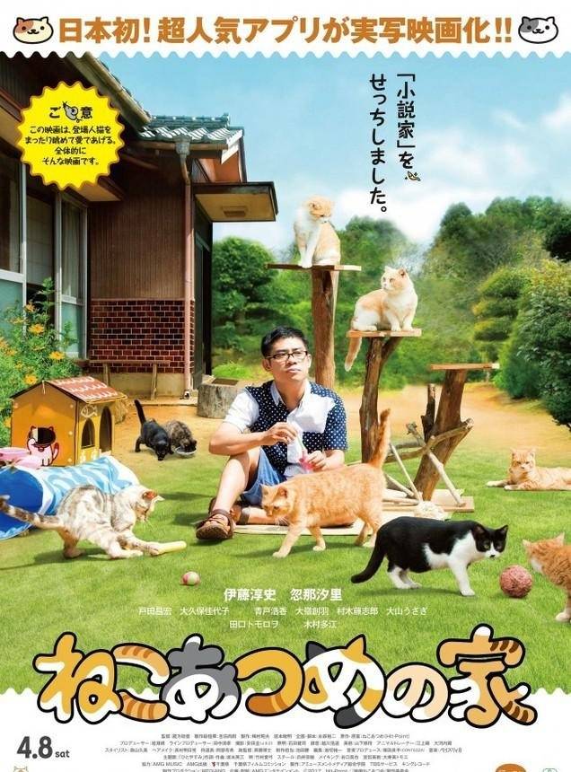 《貓咪后院之家》BD高清日語(yǔ)中字