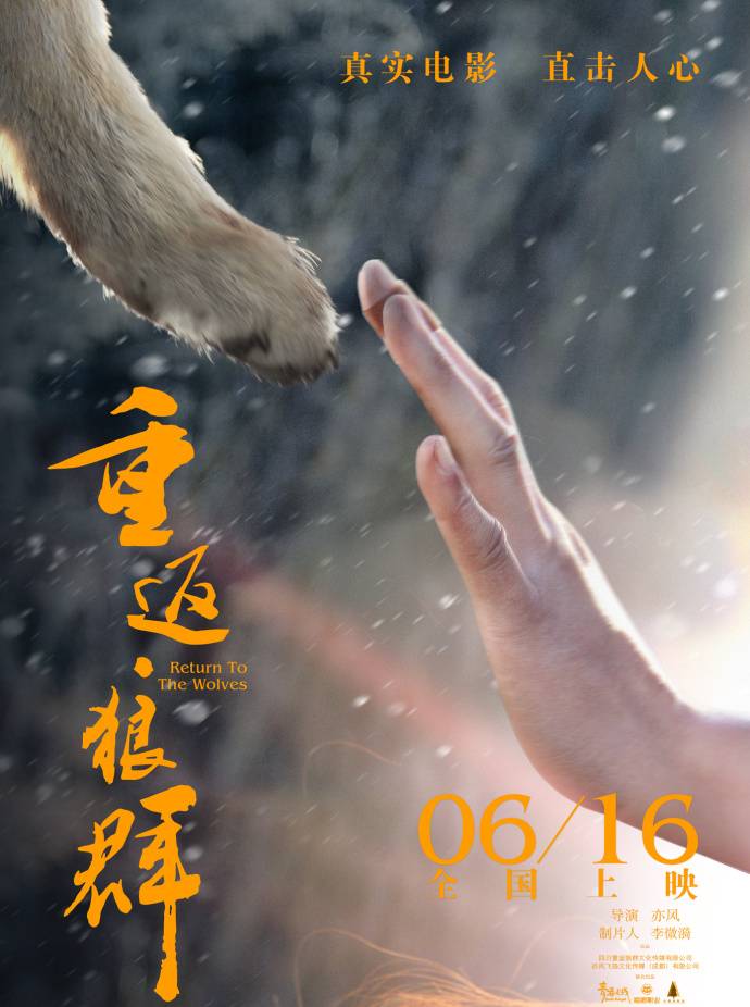 《重返·狼群》HD高清國語中字