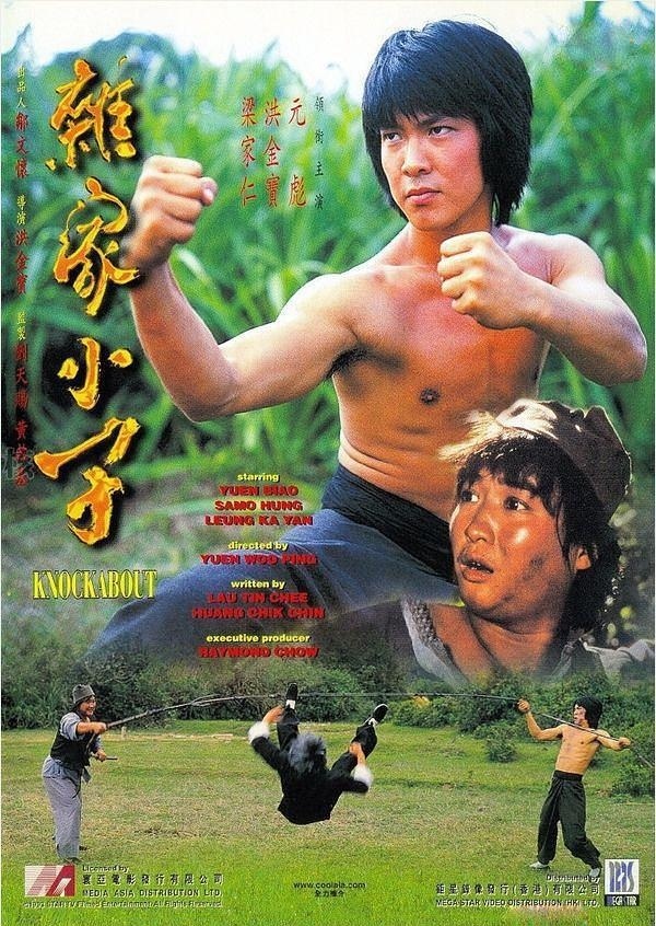 《杂家小子》HD高清国语无字幕(1979)