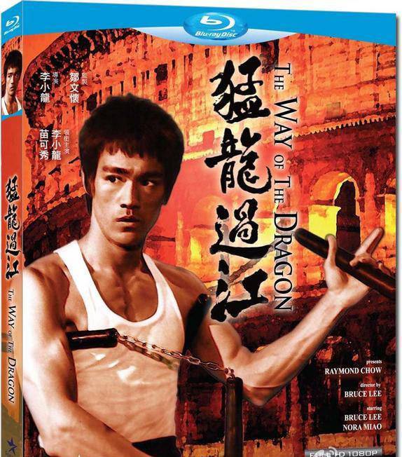 《猛龍過江》BD高清國粵雙語中字