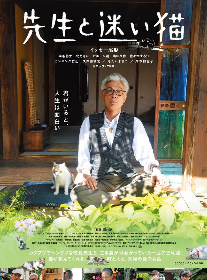 《老師與流浪貓》BD高清日語中字